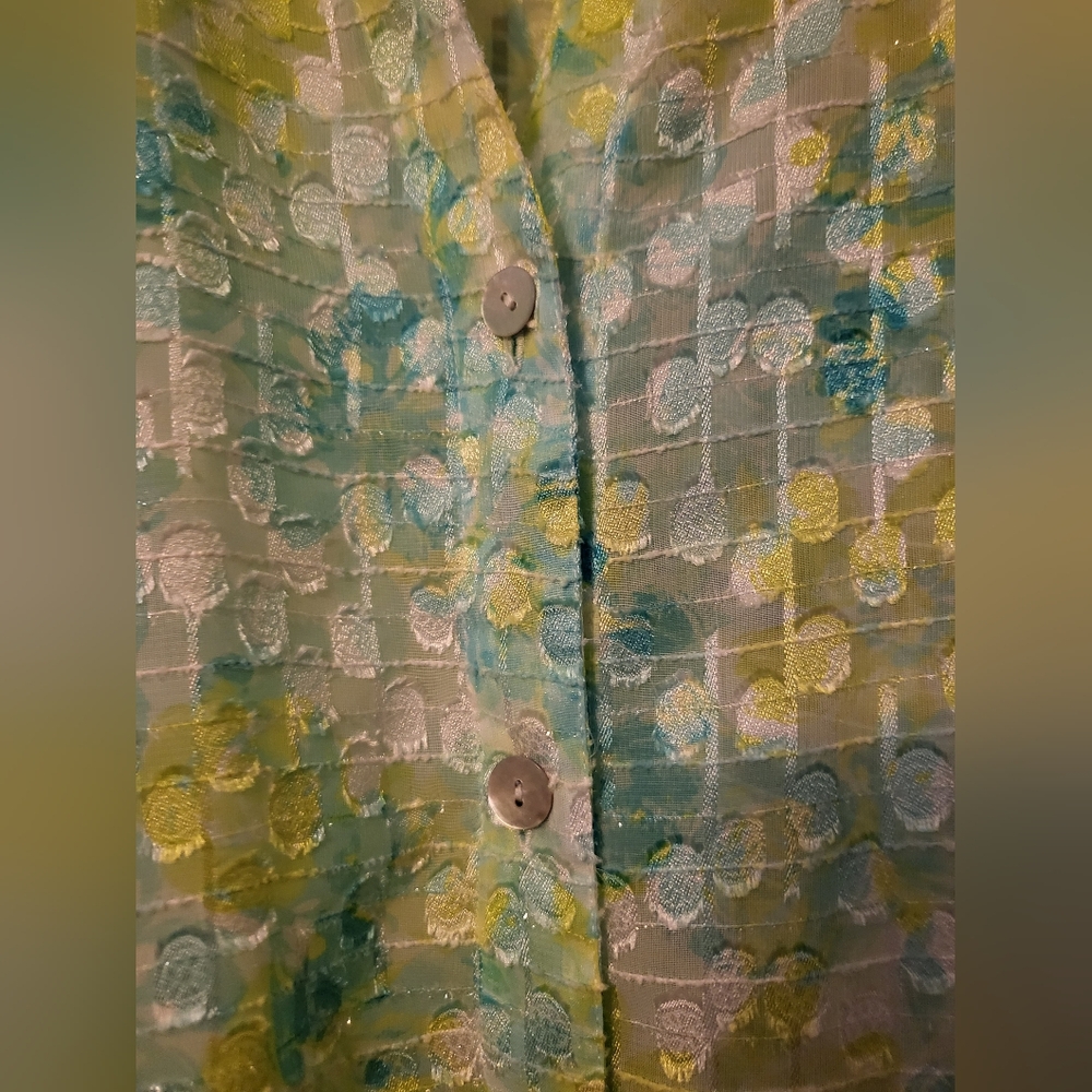 VTG Ruby Rd. Semi Sheer Button-Up Blouse - Picture 3 of 3